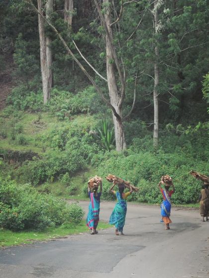We often share the road with locals going about their day. This moment, capturing women carrying firewood through the forest, is a beautiful reminder of the authentic, immersive travel experience we strive to create.