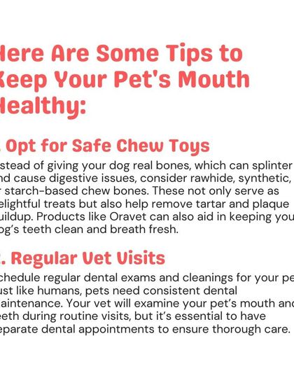Woofly - Home Veterinary Services Essential Dental Health photo 6