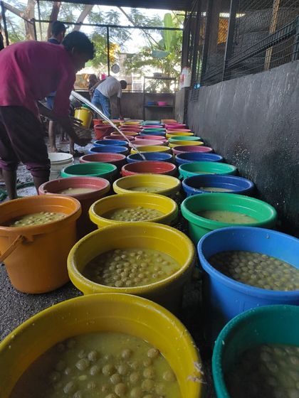 Buckets of love, ready to be served. This is just a fraction of the food prepared for a single meal service. The scale of our feeding operation is immense, and it's essential for the health of our 1800+ residents.