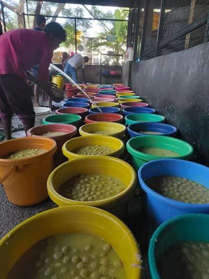 This is what hope looks like before it fills 1,800 bowls. Our team prepares fresh, nutritious food with chicken, rice, and supplements in a massive daily operation. This is where your donation becomes a life-saving meal.