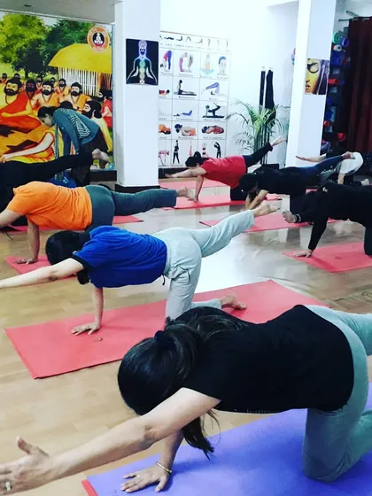 Students practicing Vyaghrasana (Tiger Pose), a balancing table-top variation. This pose strengthens the core and back muscles while improving the body's sense of balance.