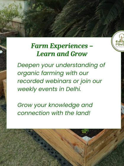 I offer various farm experiences, from recorded webinars to weekly events in Delhi. These are designed to deepen your understanding of organic farming and grow your connection with the land.