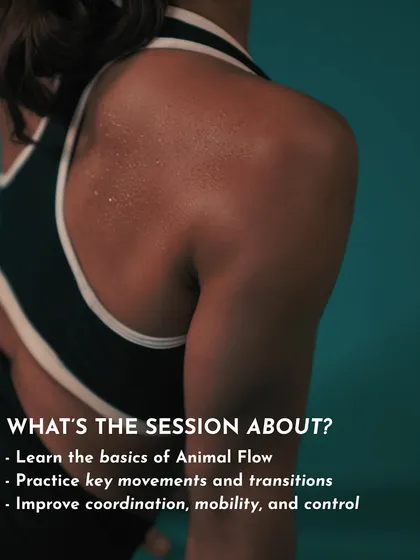 This graphic explains what our Animal Flow workshop is about: learning the basics, practicing key movements, and improving coordination, mobility, and control.