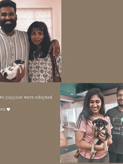 Two more puppies find their forever homes. These photos celebrate the successful adoptions from one of our recent events. Thank you to the families who chose to adopt.