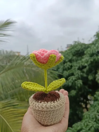 A single potted pink rose, perfect for table decor or as part of a larger set.