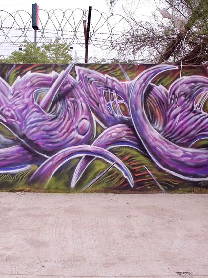 Yogi Graffiti - Custom Murals & Wall Art Pure Graffiti: Wildstyle & Crew Sessions photo 7