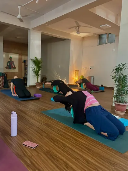 Students using yoga wheels to open the thoracic spine. This is a safe and effective way to prepare the body for deeper backbends and release tension in the upper back.