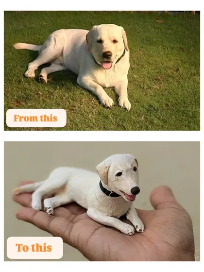From a photo to a forever friend. I love capturing the soul of your beloved pets in clay. Seeing a simple photo and bringing that personality to life in a miniature sculpture is one of the most rewarding parts of what I do.
