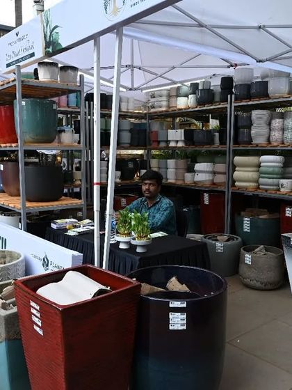 A Platform for Green Businesses photo 6