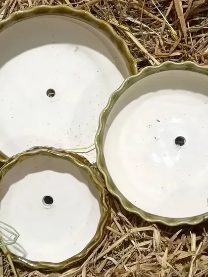 A set of three premium ceramic bonsai planters with a scalloped edge. These shallow pots are specifically designed to promote the healthy growth of bonsai trees.