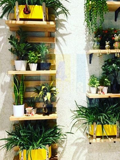 I can create custom wall shelving with a variety of small potted plants. This is a great way to fill a wall with greenery if you don't want a full vertical garden.
