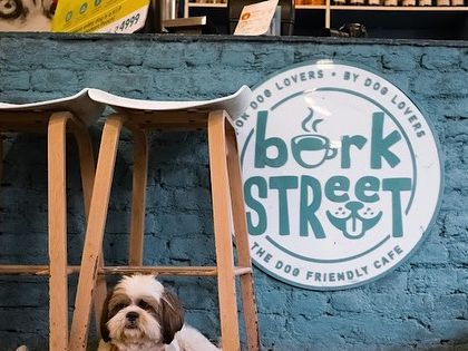 A close-up of our logo against the cool blue brick wall. It's a popular spot for photos!