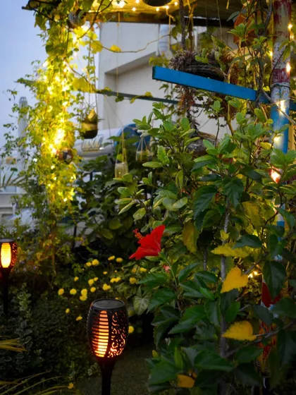 The combination of solar torches and string lights creates a dynamic and layered lighting scheme that adds depth and interest to the garden at night.