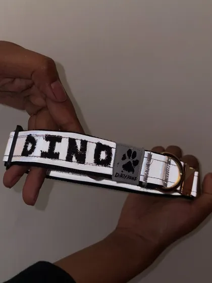 This image shows how the reflective material on the custom collar shines, ensuring your pet is visible and safe at night, with their name proudly displayed.