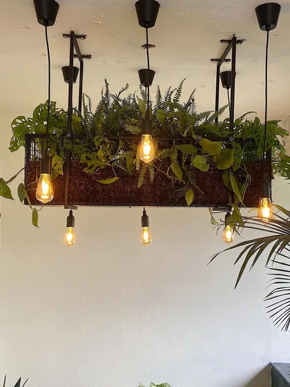 This custom plant chandelier is one of my signature creations. It acts as a stunning living centerpiece, bringing greenery and warm, ambient light together to transform the entire mood of a balcony or covered patio.