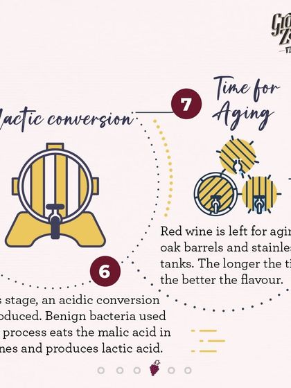 Malolactic conversion is a secondary fermentation where benign bacteria convert sharp malic acid into softer lactic acid. The wine is then left to age in oak barrels and stainless steel tanks to develop its flavor.