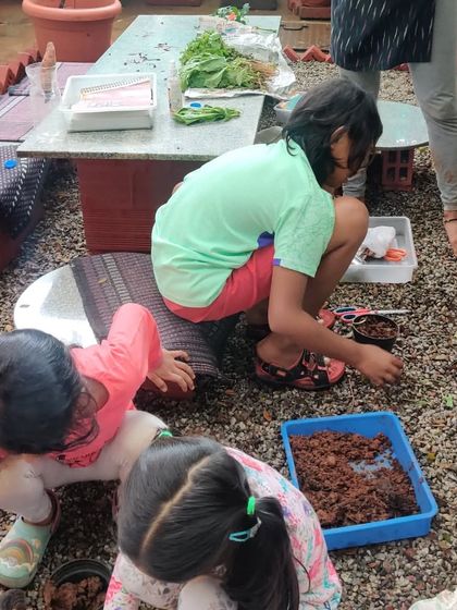 The Earth School - Montessori Primary & Elementary Program Hands-On Science & Nature Study photo 63