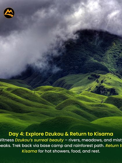 The surreal, rolling hills of Dzukou Valley in Nagaland. My itineraries include treks to this heavenly valley, where you can camp under the stars.