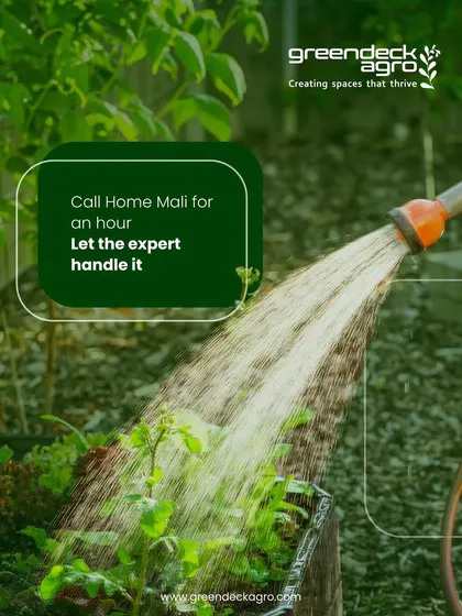 When your garden feels chaotic, especially during the monsoon, just call our Home Mali for an hour. Let an expert handle the cleanup and care.
