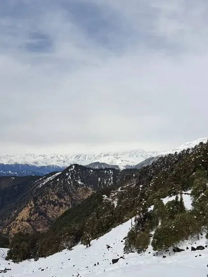A panoramic view of the snow-covered Himalayan peaks as seen from a trail in Chopta. Our treks offer not just wildlife, but also truly awe-inspiring mountain vistas.