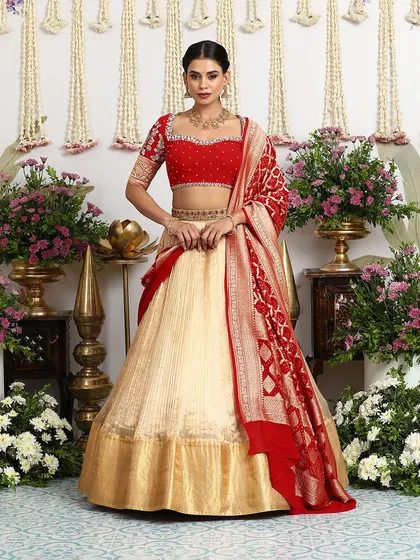 A full view of the red and gold lehenga with a Banarasi dupatta, showcasing a different styling option for a classic bridal look.
