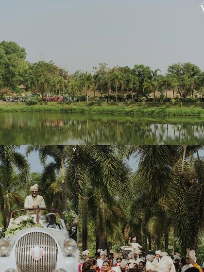 A collage showing the groom's grand baraat entrance in a vintage car. The scenic lakeside location and the line of palm trees create a stunning backdrop.
