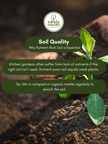 Nutrient-poor soil leads to weak plants. I always emphasize the importance of soil quality and recommend mixing in compost regularly to enrich the soil.