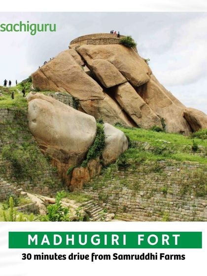 Madhugiri Fort, Asia's second-largest monolith, is just a 30-minute drive from Samruddhi Farms. The trek to the top is rewarded with breathtaking views.