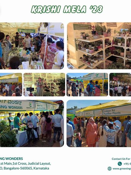 Greening Wonders - Gardening Workshops Community Engagement & Outreach photo 3