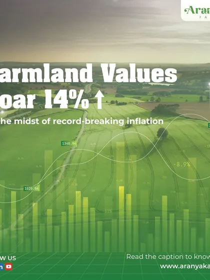 Even amidst record-breaking inflation, farmland values have soared 14%. Historically, farmland has proven to be a stable asset class with low volatility, maintaining its value even when traditional markets decline.
