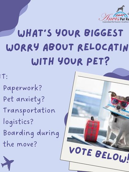 Anvis - Pet Relocation Fun & Community photo 6