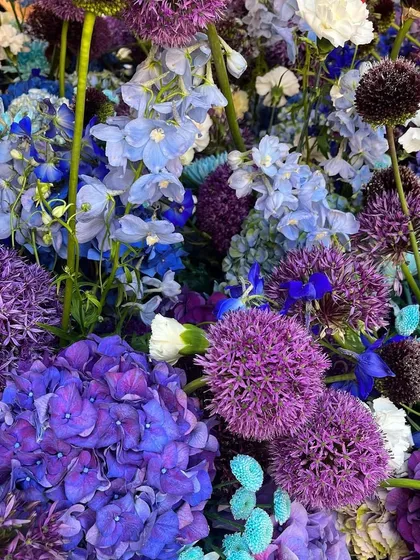 A close-up of a sea of blues and purples. I celebrate love every day in my shop, crafting arrangements with alliums, delphiniums, and hydrangeas to convey your heartfelt messages.