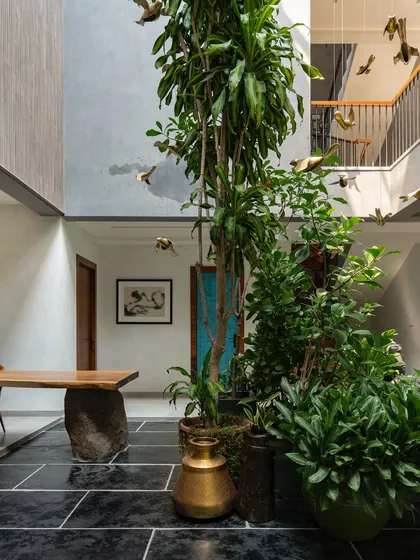 A central courtyard bringing life and light into the heart of a home. A tall tree reaches for the sky, surrounded by lush greenery and accented by brass bird sculptures that add a touch of whimsy and artistry to the biophilic design.