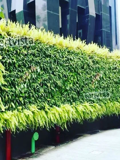 A wider view of the outdoor green wall at The Wadhwa Group's Platina project. This living wall acts as a privacy screen while adding significant aesthetic value to the property's exterior.