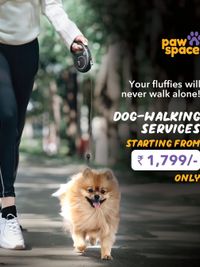 Dog Walking