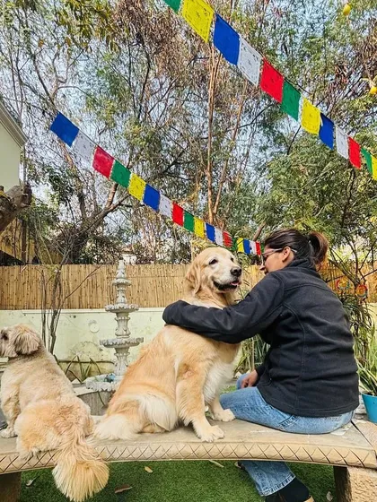 Love is always in the air at PetSpot. Our founder Vizal shares a quiet moment with two of our boarding dogs in our beautiful, green garden space. We provide plenty of affection and a calm environment.