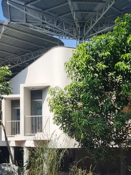 The underside of the steel parasol structure before the bamboo cladding was applied, revealing the complex engineering required to create the tree-like forms.