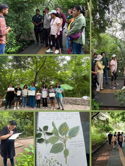 A collage from our nature walks and journaling sessions at Chakkarpur Wazirabad Bundh, where participants explored and captured the beauty of the restored flora and fauna.