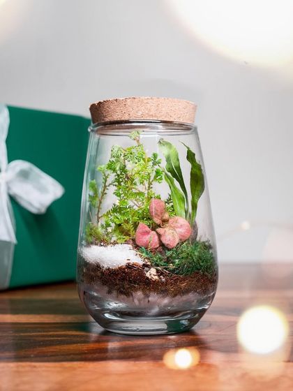 Build Your Own World: DIY Kits photo 3