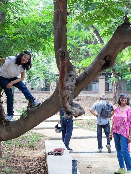 A participant playfully climbs a tree during a community walk at Aravali Creek, reconnecting with nature and finding joy in the restored space.