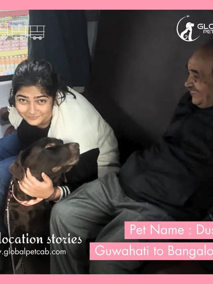 Global Pet Cab - Domestic Pet Relocation Train Travel: First-Class Coupe Journeys photo 29