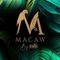 Macaw By Stories