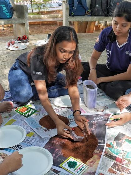 Healing Garden - Corporate Wellness & Team Building Seed Ball Making: Eco-Team Building photo 10
