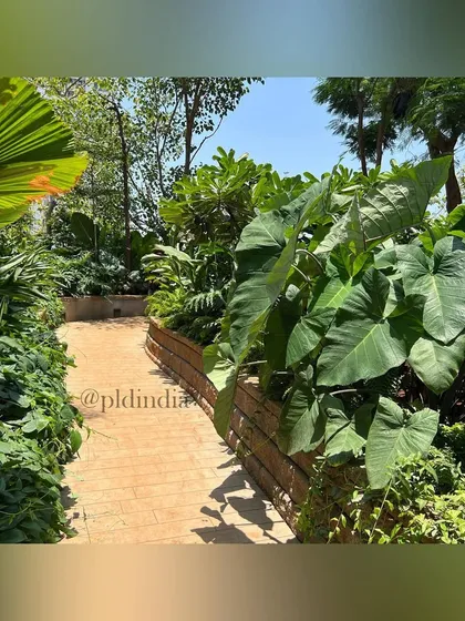 The path is flanked by giant elephant ear plants (Colocasia) and fan palms, creating a dramatic and tropical entrance. The scale of the plants makes the space feel grand and exotic.