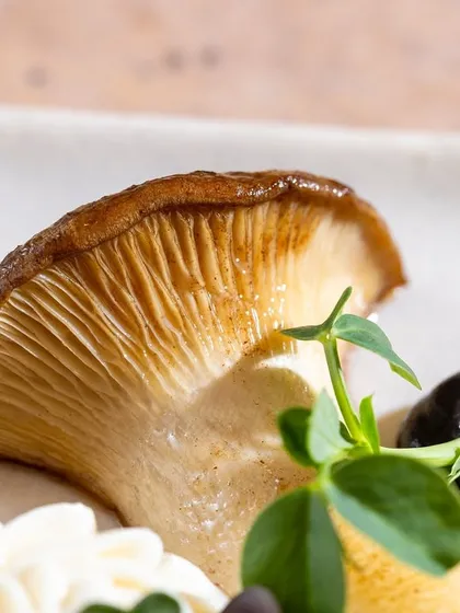 A macro photograph of a pan-seared mushroom for Unico, Gurugram. Using a specialized macro lens, I captured the intricate gill structure and texture, showcasing my ability to produce highly detailed and artistic food images.