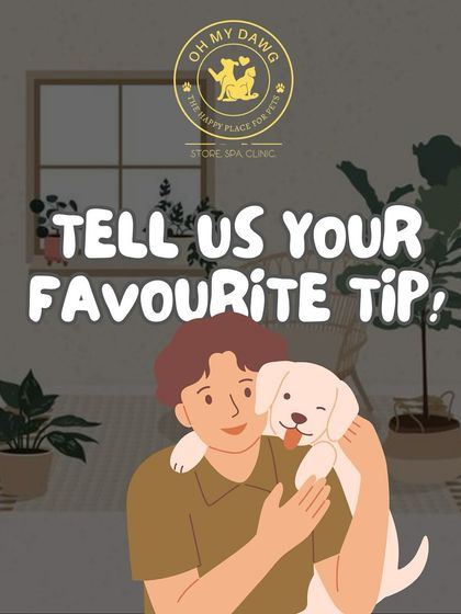 Oh My Dawg - Pet Supplies For New Pet Parents photo 22