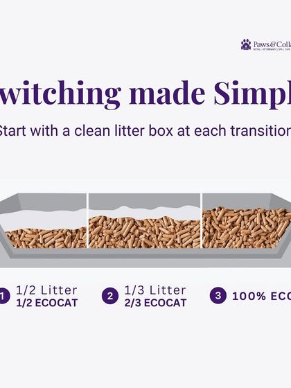 PawsnCollars - Pet Supplies For Our Feline Friends photo 13