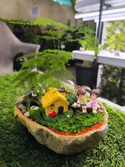 For Women's Day, we have a stunning array of plants to delight the special women in your life. From mini landscapes and terrariums to elegant potted plants, a green gift is a gift of life.