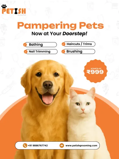Whether you have a dog or a cat, I offer a full range of services to keep them looking and feeling their best. This includes bathing, haircuts, nail trimming, and brushing, with packages starting at just ₹999.