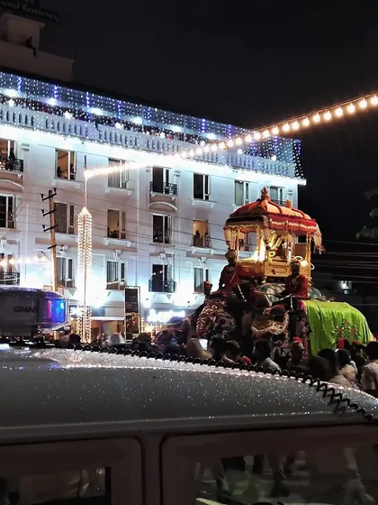 There is nothing like seeing one of my completed floats moving through the streets at night. This photo captures the atmosphere of a festival parade, with the lights and the crowd making the art feel truly alive.